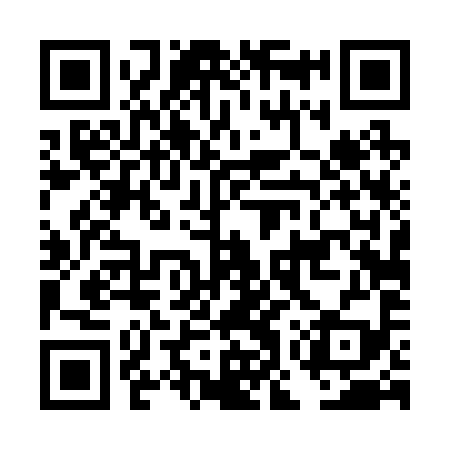 QR code for DOT299