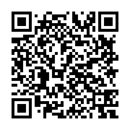 QR code for DOY838