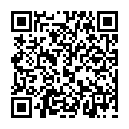 QR code for DPG381