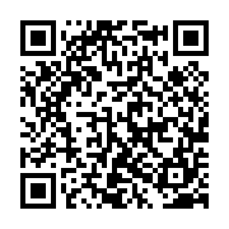 QR code for DPL054