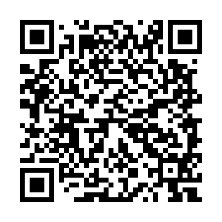 QR code for DPT594