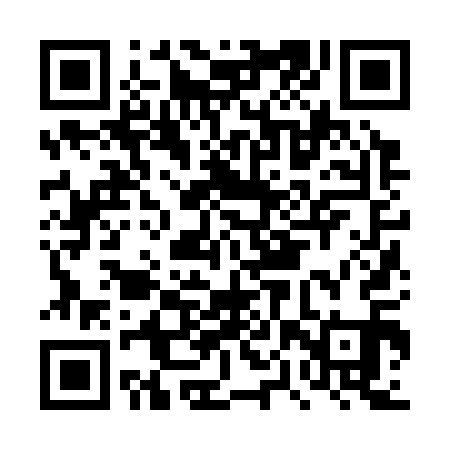QR code for DPZ311