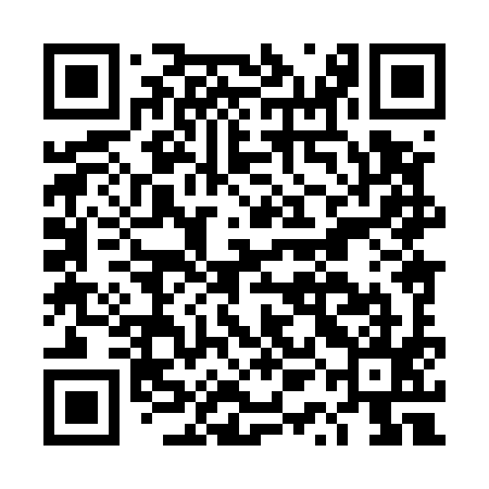 QR code for DQH595