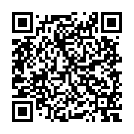 QR code for DQP594