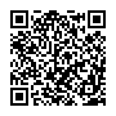QR code for DQX496