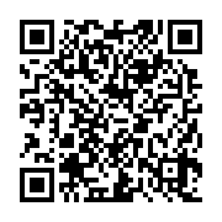 QR code for DRR338