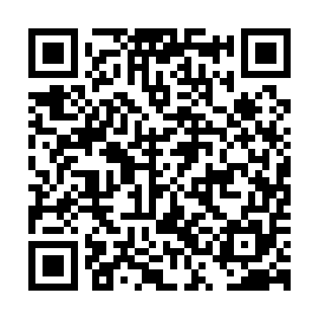 QR code for DSA155