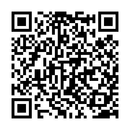 QR code for DSA489