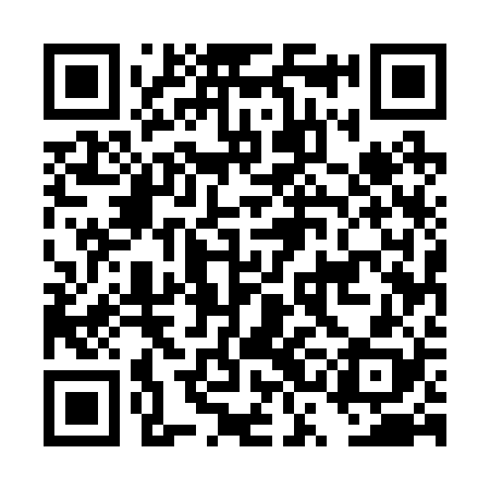 QR code for DSE228