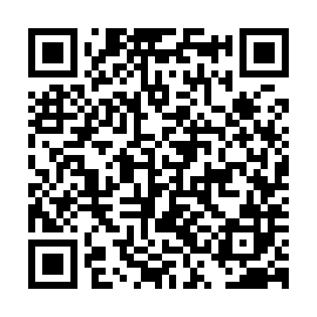 QR code for DSG982