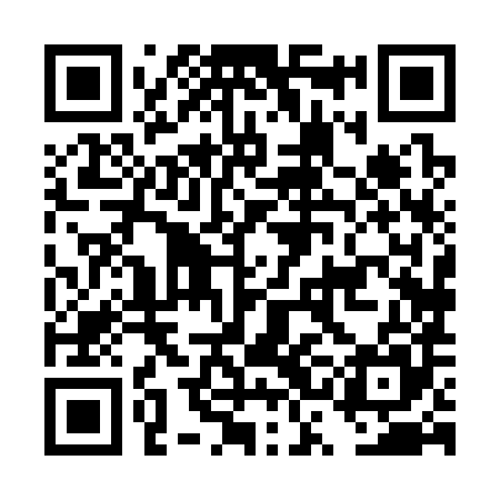 QR code for DSH385