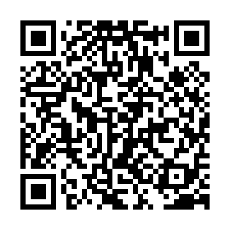 QR code for DSI019