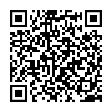 QR code for DSI211