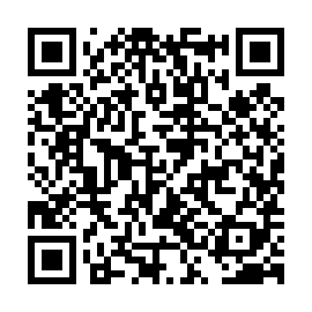 QR code for DSI489