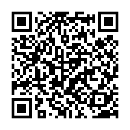QR code for DSO428