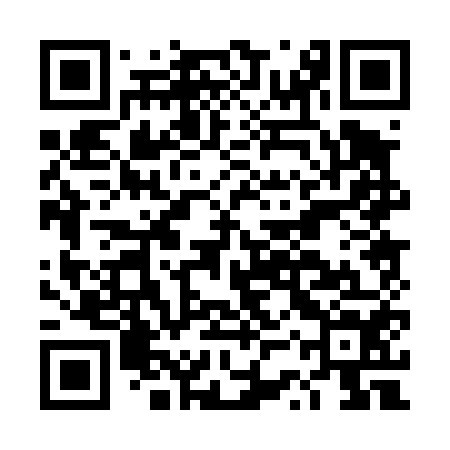 QR code for DSP454
