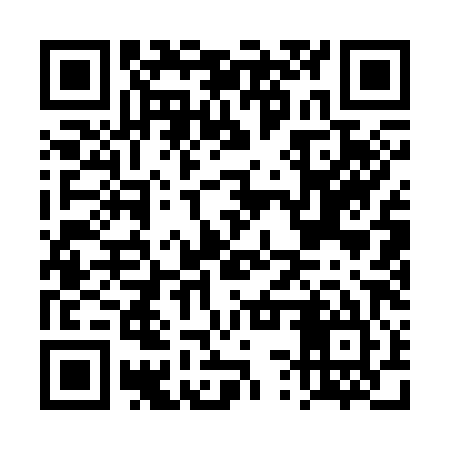 QR code for DSQ385