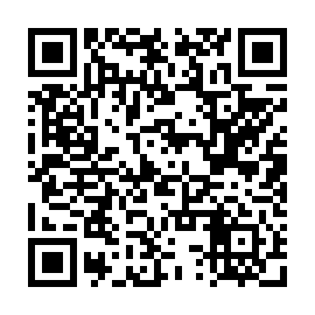 QR code for DSQ641