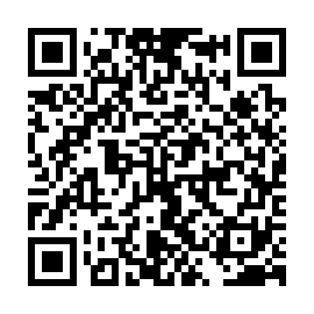 QR code for DSS371