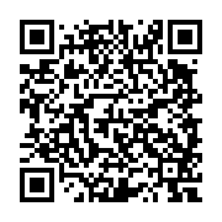 QR code for DST483
