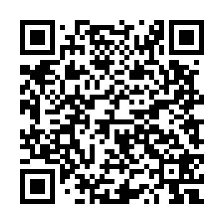 QR code for DST528