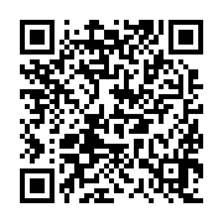 QR code for DSV294