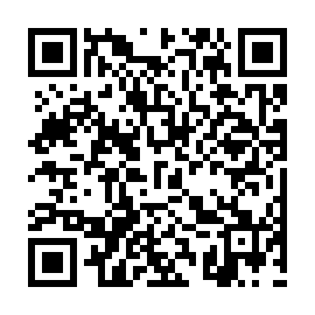 QR code for DSV341
