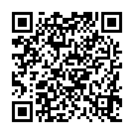 QR code for DSX190