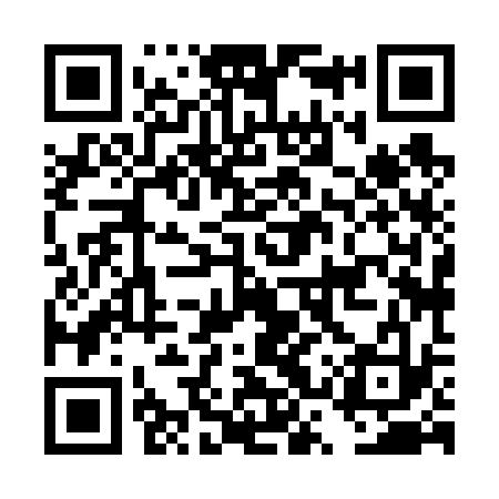 QR code for DSX633