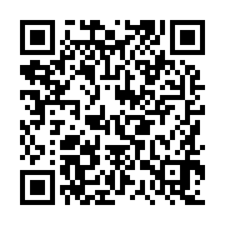 QR code for DSX990
