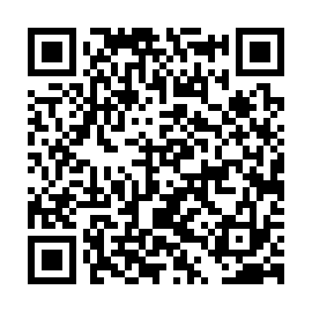 QR code for DTT333