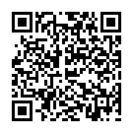 QR code for DUD341