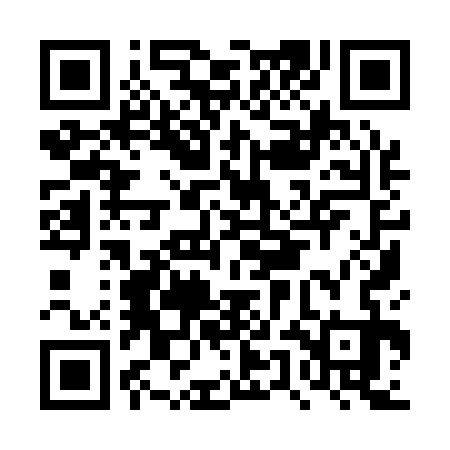 QR code for DUI133