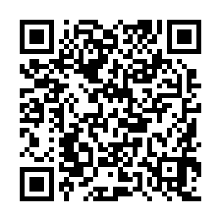 QR code for DUI290