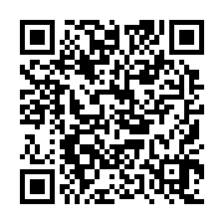 QR code for DUI307