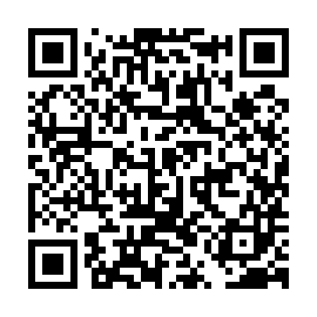 QR code for DUI583