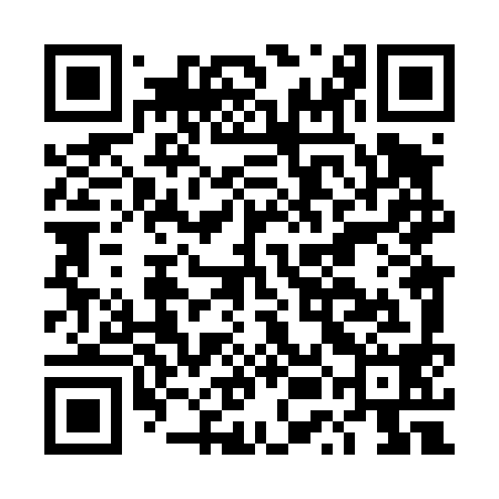 QR code for DUL498