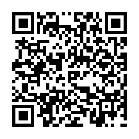 QR code for DUO313