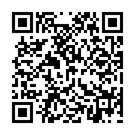 QR code for DUZ339