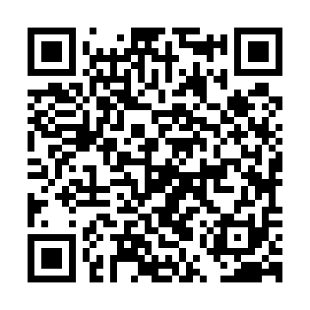 QR code for DUZ511