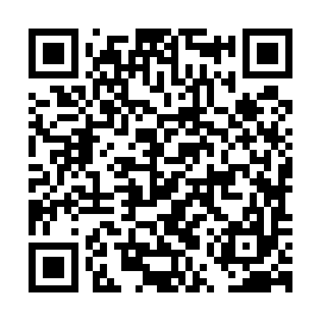 QR code for DUZ597