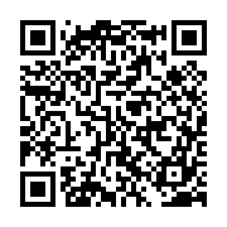 QR code for DVS077