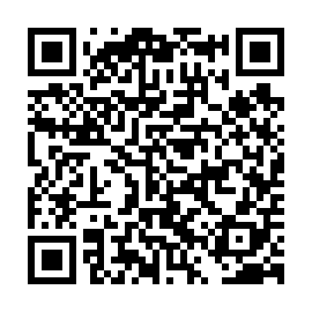 QR code for DVS608
