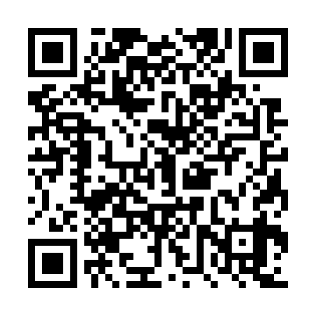 QR code for DVS739