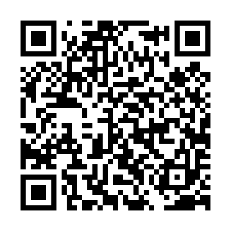 QR code for DWD493