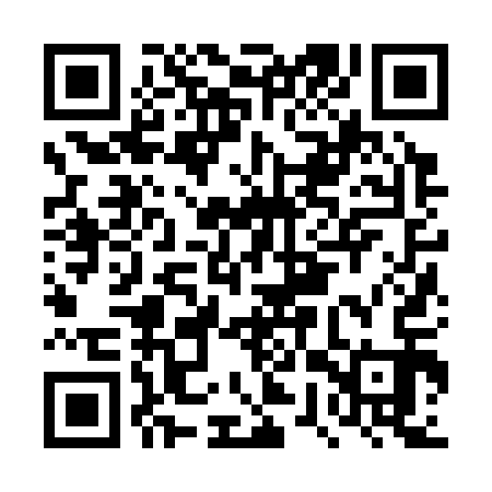 QR code for DWZ313