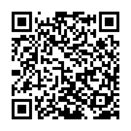 QR code for DXB369