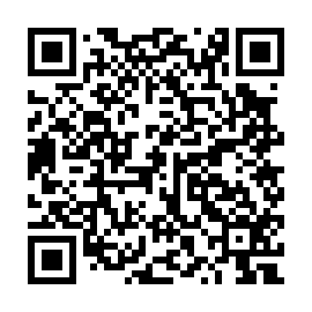QR code for DXG016