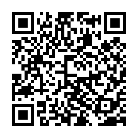 QR code for DXG419