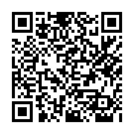 QR code for DXR438